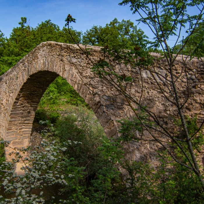 Pont gòtic de Santa Maria de Merlès